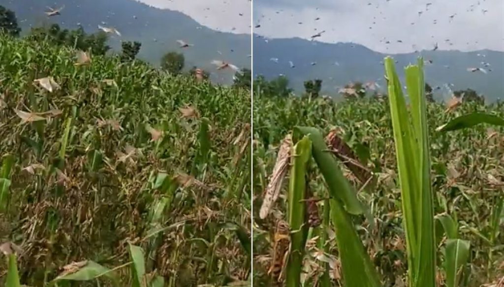 Clipboard_11-27-2025_02