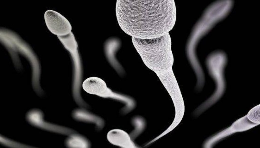 20200509092108_Semen-700x321_I23lDevZC4