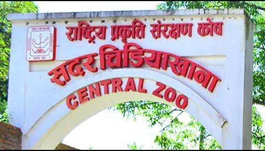 20201210085521_zoo