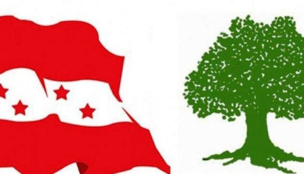 20220516095221_Nepali-Congress-flage-and-tree
