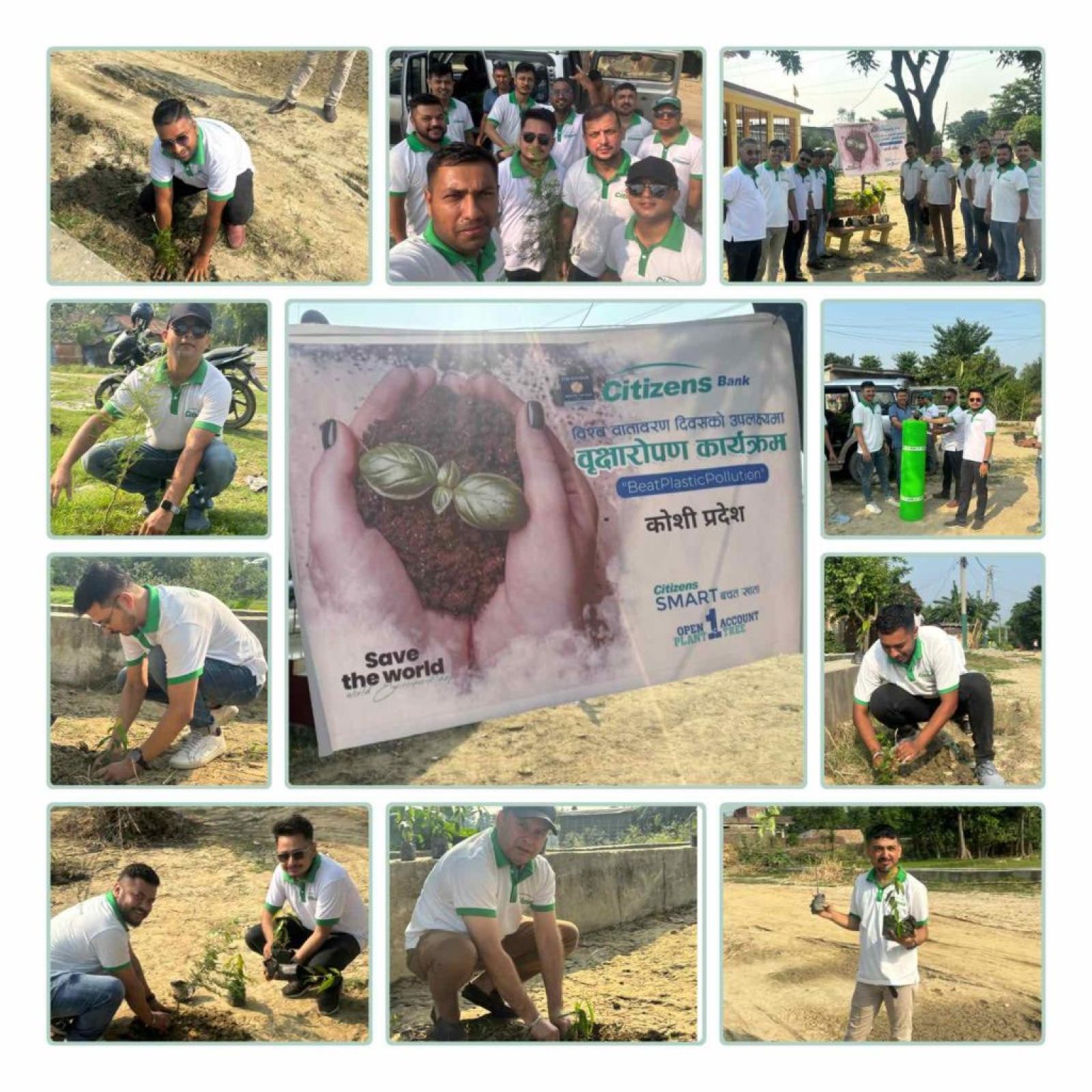 TREE PLANTATION-KOSHI TREE PLANTATION-KOSHI