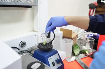 WhatsApp Image 2025-06-03 at 11.08.57_dfba623c