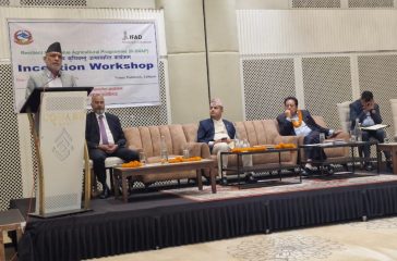 WhatsApp Image 2025-06-21 at 23.09.42