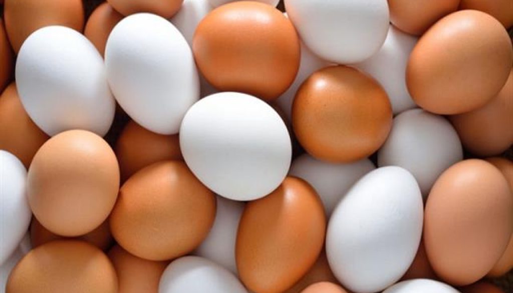 Egg Egg