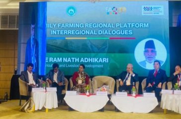 WhatsApp-Image-2025-08-12-at-12.44.41-PM-1536x689