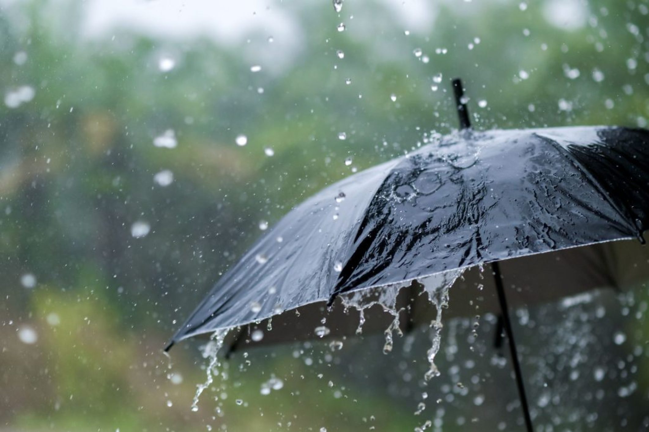 rain rain