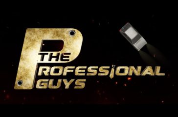 Professional Guys