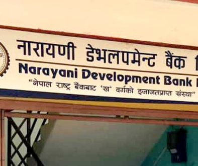 10th-baisakh-narayani-development-bank-logo 10th-baisakh-narayani-development-bank-logo