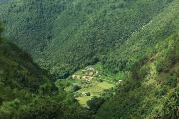 20241121091132_c8a381c9a95aa86fec558951650d97bb87914741f01766982ba2b086af001f16