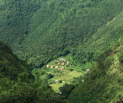 20241121091132_c8a381c9a95aa86fec558951650d97bb87914741f01766982ba2b086af001f16