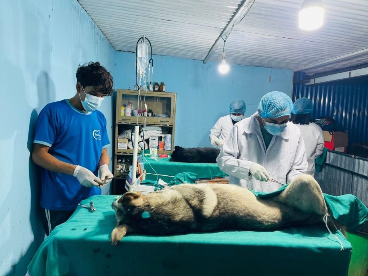 Clipboard_11-15-2025_02