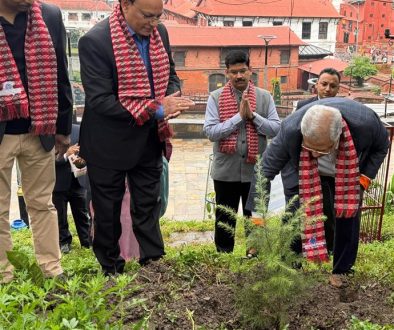 Tree Plantation at Kailash Danda