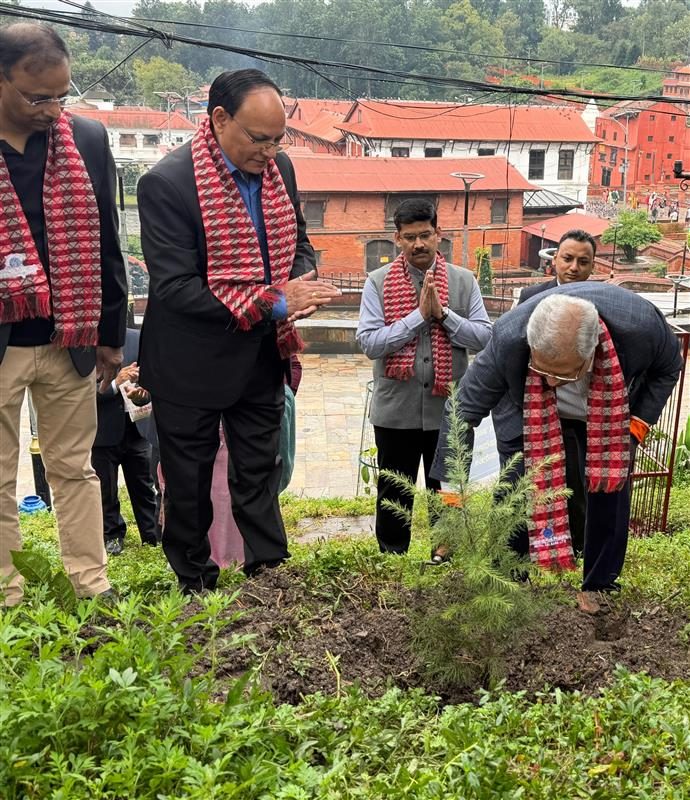 Tree Plantation at Kailash Danda