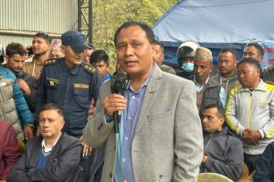 WhatsApp Image 2025-11-02 at 13.48.06