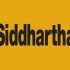 siddhartha Bank