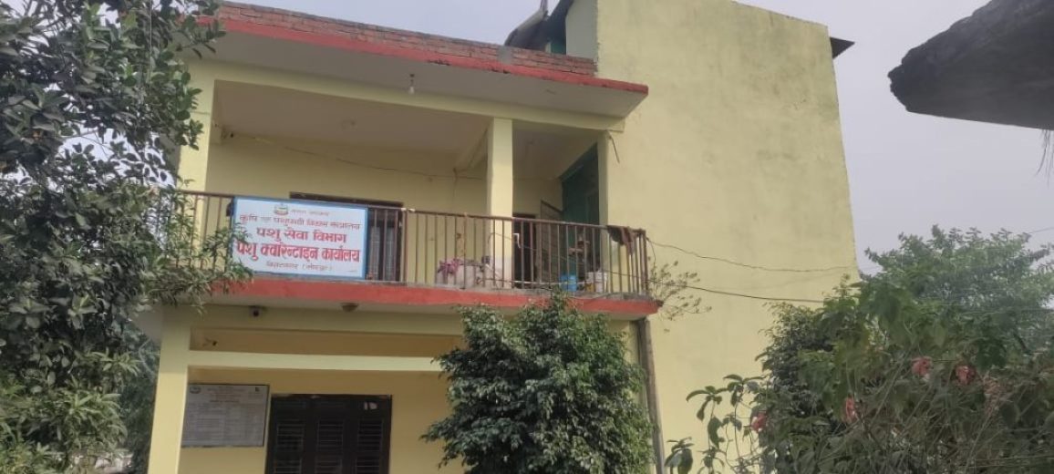 452cddf4-9bbf-4f4a-86bb-7966b3fda165_11zon