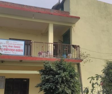 452cddf4-9bbf-4f4a-86bb-7966b3fda165_11zon