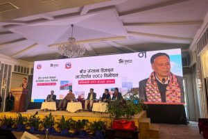 WhatsApp Image 2025-12-19 at 13.33.31