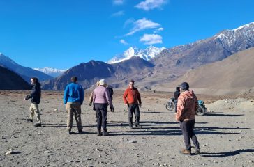 20251211_085027_MRbtd8Nb9n