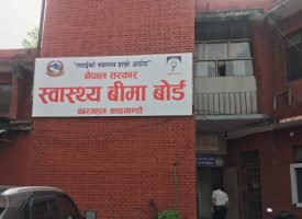 bima-768x502-1752140187