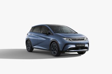 dolphin-15122025050002-1000x0