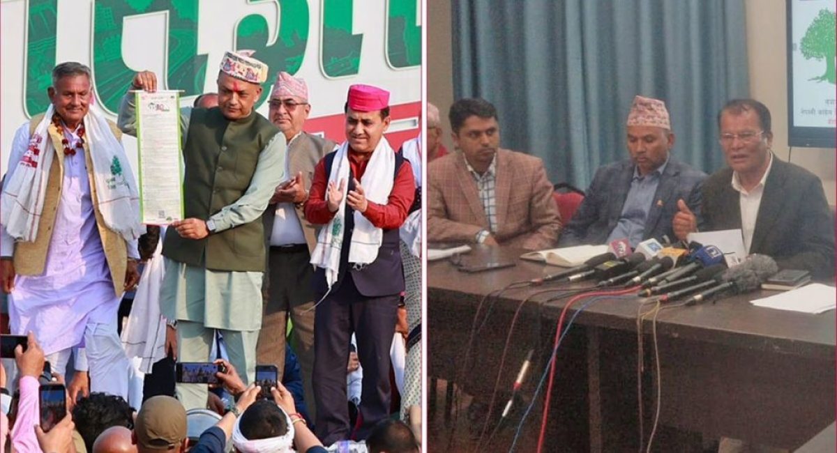 WhatsApp Image 2026-02-18 at 17.06.08