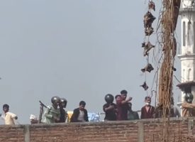 WhatsApp Image 2026-02-20 at 14.48.59