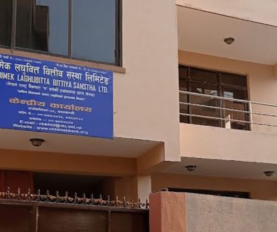 chhimek-laghubitta-building-e1746943407148