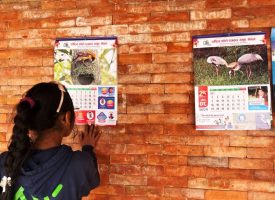 Calendar-Exihibtion-arthapranali