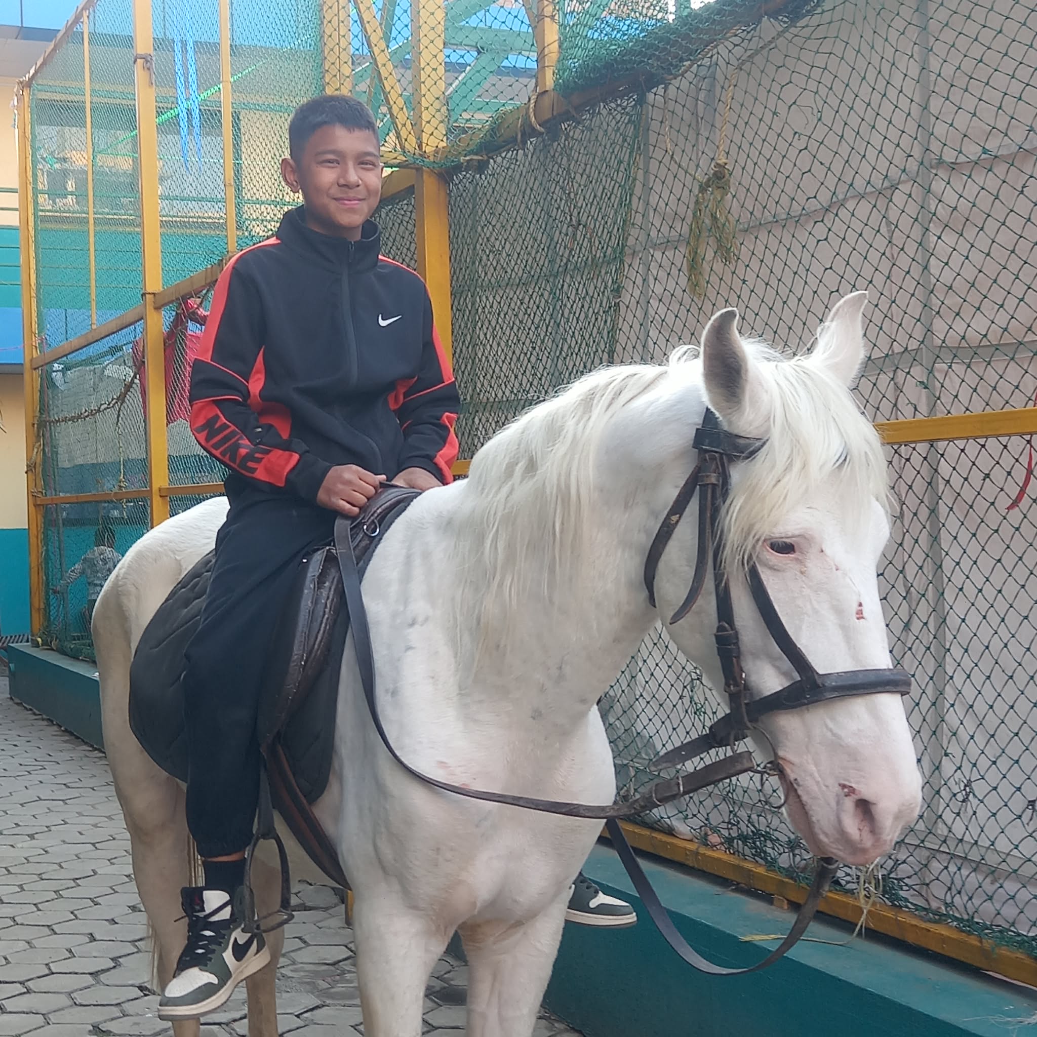 horse riding 1