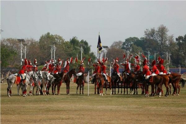 horse_Wtx7V15iyN