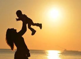 Clipboard_04-17-2026_01