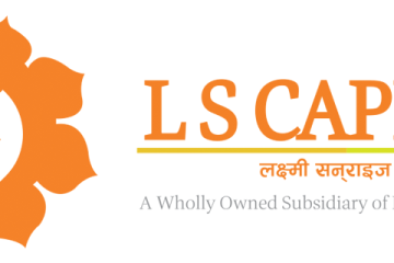 LS Capital