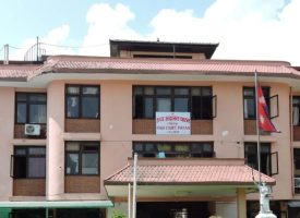 patan-high-court_jqaurabufc_EvSXXhD5JD