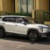 Dongfeng-Nammi-06-side.jpg