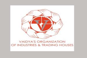 Vidhya-org (1)