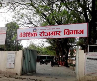 Baideshik rojgar bivag1692182802