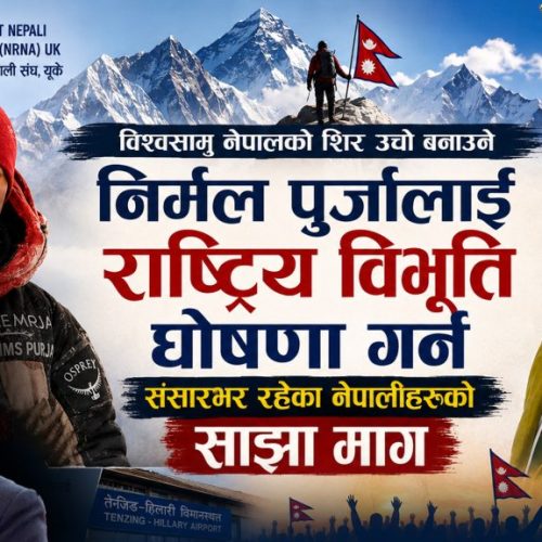 Feature Image Nims Dai News