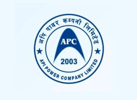 api-power-company-limited-arthapranali