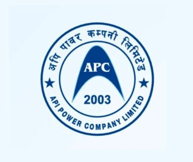 api-power-company-limited-arthapranali