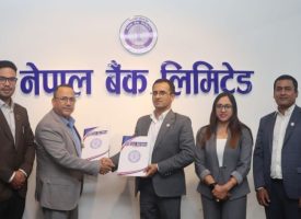 NLICL & NBL Agreement (1)