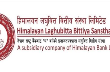 himalayan-laghubittah