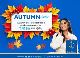 Autumn Offer 2083