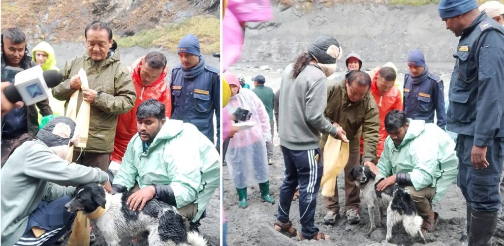 dog-gorkha-1024x500