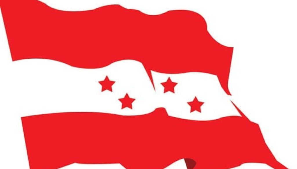 nepali-congress-flag